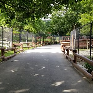 Lehigh Valley Zoo - path between hoofed areas, oryxes on left and zebras on right