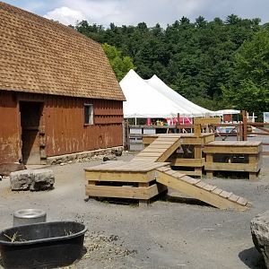 Lehigh Valley Zoo - goat yard