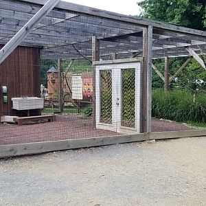 Lehigh Valley Zoo - Lorikeet feeding area