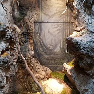 Lehigh Valley Zoo - timber rattlesnake