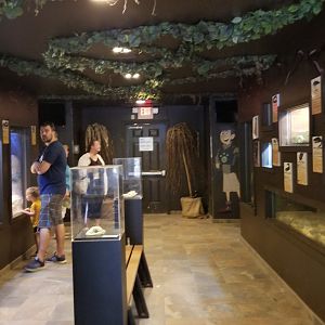 Lehigh Valley Zoo - inside of RAD center