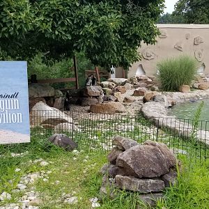 Lehigh Valley Zoo - african penguins
