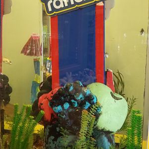 ZooAmerica - Fish tank in gift shop/entrance building