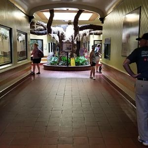 ZooAmerica - Southern Swamps building