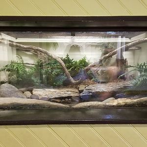 ZooAmerica - Cottonmouth exhibit