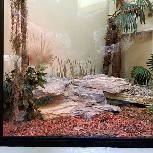 ZooAmerica - eastern diamondback exhibit