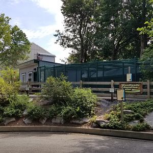 ZooAmerica - Woodlands Education Center, Falconry Experience