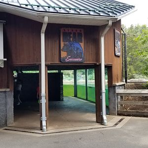 ZooAmerica - Black Bear glass viewing