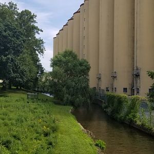 ZooAmerica - Wildflower area/future butterfly garden, chocolate factory