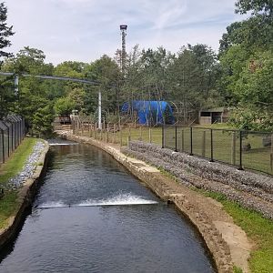 ZooAmerica - Stream between bears and pronghorns, with monorail in view
