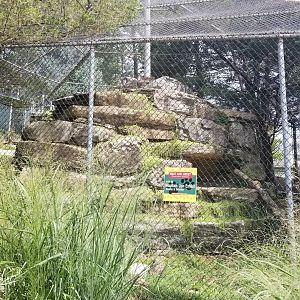 ZooAmerica - Front view of cougar exhibit