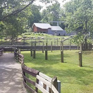 ZooAmerica - Bear exhibit from across the stream