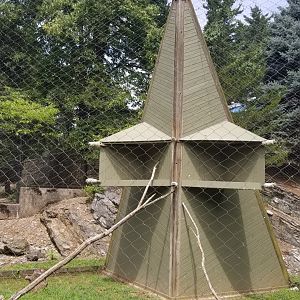 ZooAmerica - Peregrine falcon exhibit