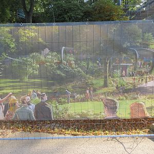 Future Exhibit - Aralandia