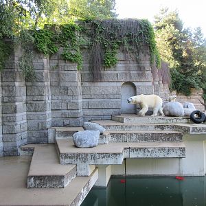 Polar Bear Exhibit