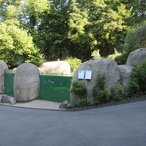 African Penguin Exhibit