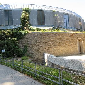 African Elephant House