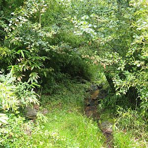 Landscaping in the entrance area, 2019-07-21