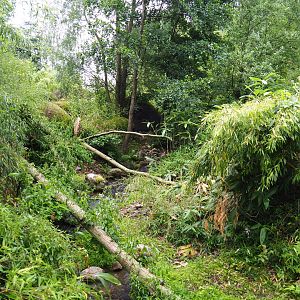 Landscaping in the entrance area, 2019-07-21