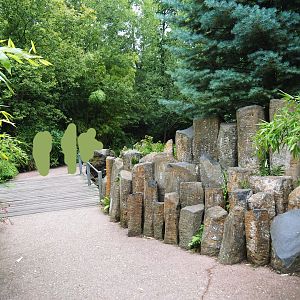Entrance area pathway and landscaping, 2019-07-21