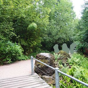 Entrance area pathway and landscaping, 2019-07-21