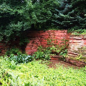 Landscaping in the entrance area, 2019-07-21