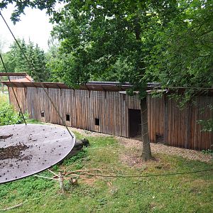 Barbary macaque holding structure, 2019-07-21
