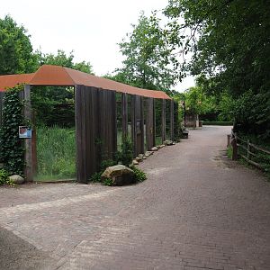 Pathway towards Limburg farmyard with Eurasian lynx viewing windows, 2019-07-21