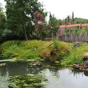 North American beaver exhibit, 2019-07-21