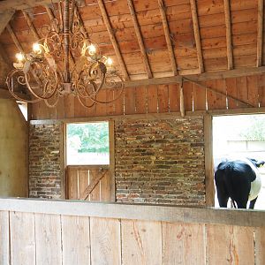 Limburg farm yard - Dutch belted or Lakenvelder cattle stable, 2019-07-21