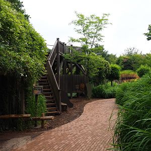 Pathway and viewing areas next to the African lion exhibit, 2019-07-21