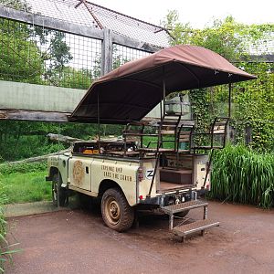 African lion viewing area with safari vehicle, 2019-07-21