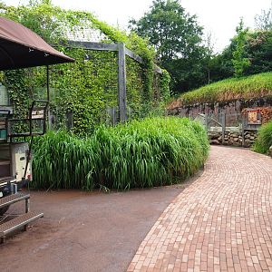 Park view near African lions - Towards the meerkat and porcupine exhibit, 2019-07-21