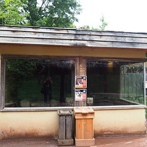Indian crested porcupine and meerkat house, 2019-07-21