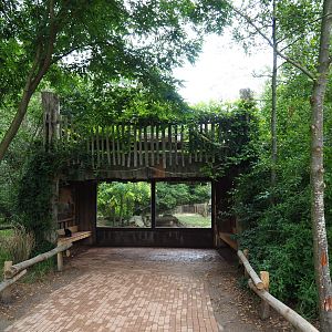 African hunting dog viewing area, 2019-07-21