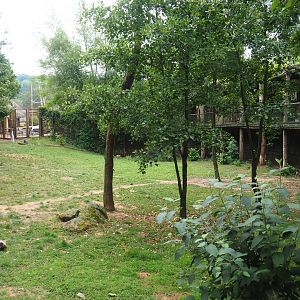 African hunting dog exhibit, 2019-07-21