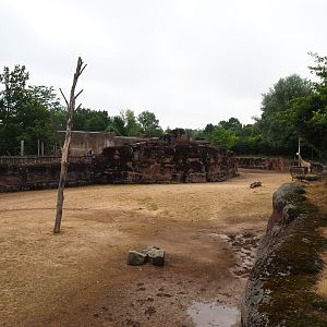 Savanna paddock, 2019-07-21