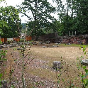 Savanna paddock, 2019-07-21