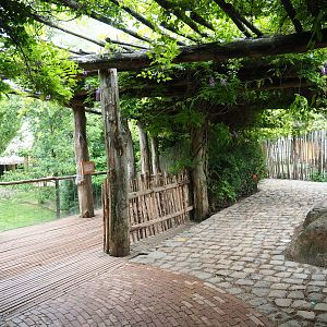 African hunting dog and savanna viewing area, 2019-07-21