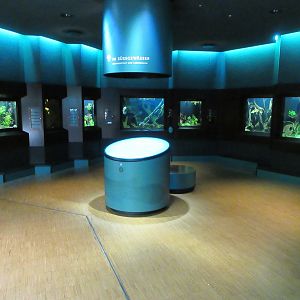 Example of one of the 25 rooms