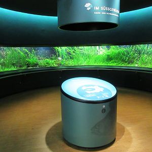 Example of one of the 25 rooms (amazing!)