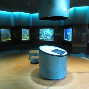 Example of one of the 25 rooms