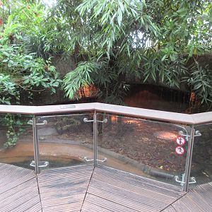 Walk-Through Jungle Area