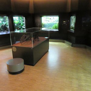 Example of one of the 25 rooms