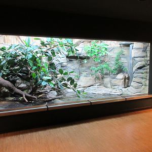 Basilisk Exhibit
