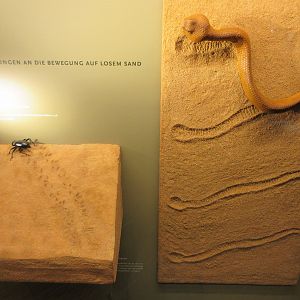 Cool interpretative material