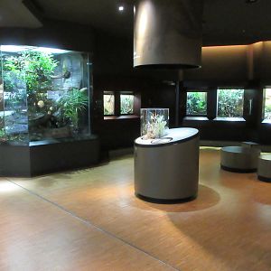 Example of one of the 25 rooms
