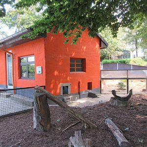 Indian Crested Porcupine Exhibit + Meerkat House