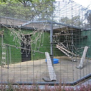 Squirrel Monkey Exhibit