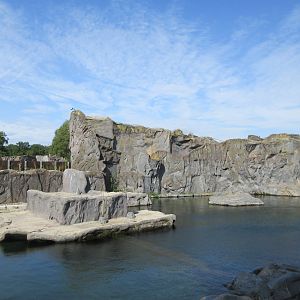 California Sea Lion Exhibit